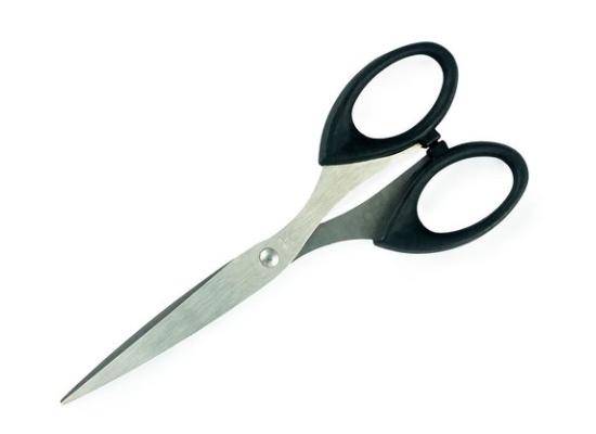 Medium Size Scissors